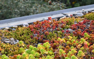 the cost of Bedingham Green green roof installation